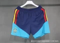 26 spain national team pants (super a quality)