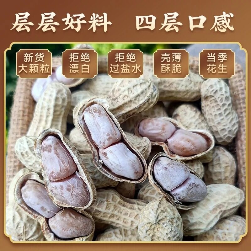 Longyan Wholesale Peanuts 500g White Sun-Dried Salted Garlic-Flavored Five-Spice Peanuts