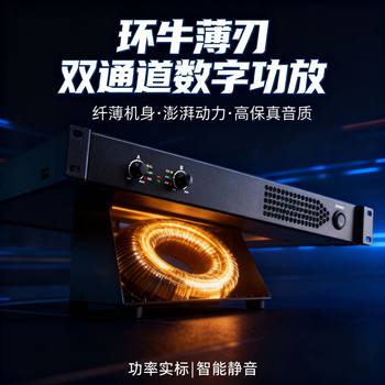 Directly Supplied from the Manufacturer, Dual-Channel Professional Ring Transformer Power Amplifier with Multiple Power Options, Intelligent Heat Dissipation, Full Protection, Low Distortion