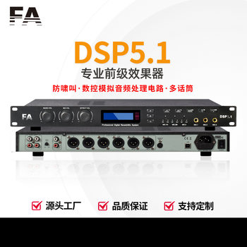 Professional Preamp Effect Processor Microphone Reverb Amplifier Audio Audio Effector Microphone Amplifier
