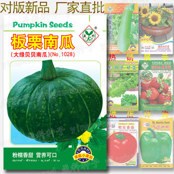 About 10 Chestnut Pumpkin Seeds, Pink, Glutinous, Sweet and Delicious, Big Beibei Seeds, Chestnut Flavored Green Beibei Pumpkin Seeds