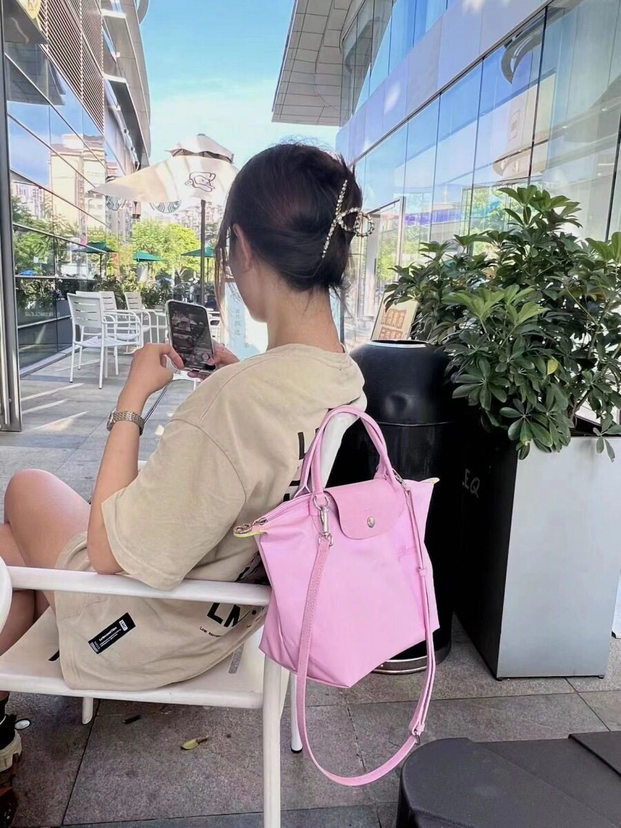 Cross-Border French Longxiang Bag Embroidered Dumpling Bag Folding Bag Large Capacity Longxiang Tote Bag Women's Bag Armpit Bag