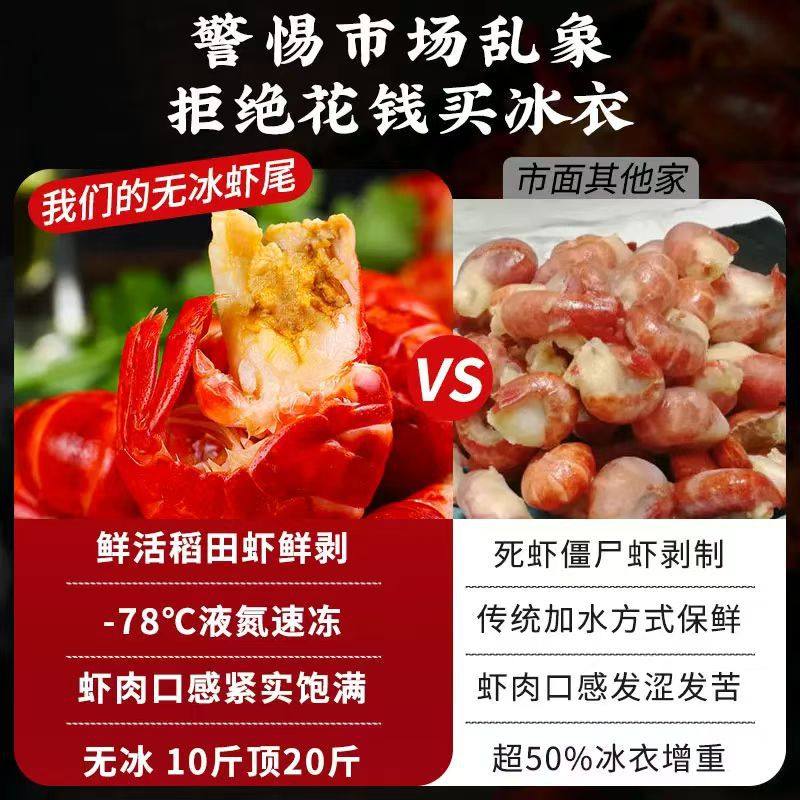 Freshly Frozen Large Lobster Tails, Fresh and Spicy, Headless, No Ice, for Catering, Commercial Wholesale, Hot Pot Ingredients, Crayfish