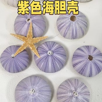 Natural Purple Sea Urchin Shell Mediterranean Decoration Tourist Crafts DIY Pendant Air Pineapple Sea Urchin Shell