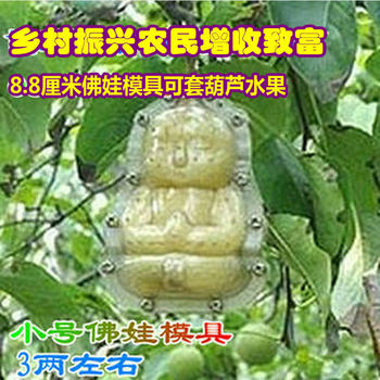 3-4 two Xinjiang fragrant pear passion fruit ginseng fruit vegetable fruit mold 8.8cm Buddha baby fan gourd plastic mold