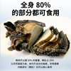 Spot New Zealand Black Gold Abalone Single Frozen Abalone Sashimi Abalone Meat Seafood Japanese Ingredients Specifications Wholesale Frozen Black Gold Abalone