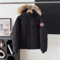 Black with red label fur collar model