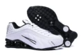 R4 model-white and black
