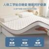 Thickened Mattress Home Soft Cushion Student Dormitory Tatami Sponge Mattress Single Bed Folding Memory Foam