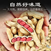 Northeast Red-Skinned Peanuts, 25 Years Old, Farm-Fresh, Shelled, Raw and Cooked, Four Red Peanuts, Self-Grown, Sun-Dried, Roasted, Original Flavor
