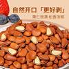 Wholesale Open-Shell Pine Nuts, Turkish Pine Nuts, Hand-Peeled Open-Shell Pine Nuts, Large Nuts, Dried Fruits, Retail, Bulk, Dropshipping