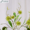 Cross-Border Wholesale Artificial Chestnut Fruit Artificial Green Plants Home Furnishings Decoration Scenery Fake Flowers Landscaping Long Branch Fake Flowers
