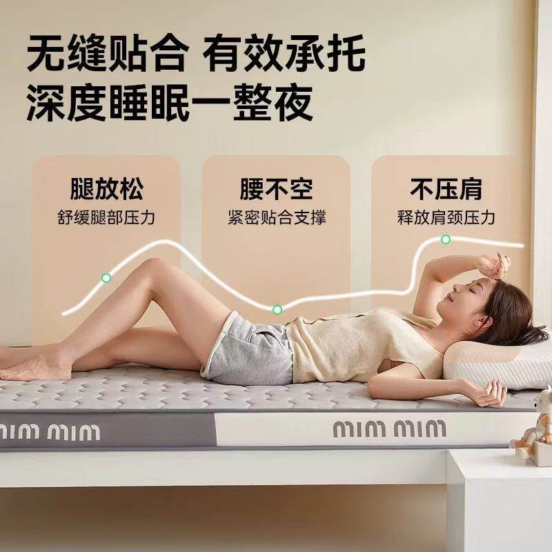 Dormitory Student Latex Memory Foam Mattress Single and Double Household Soft Cushion Sponge Mattress Rental Special Floor Sleeping Mat