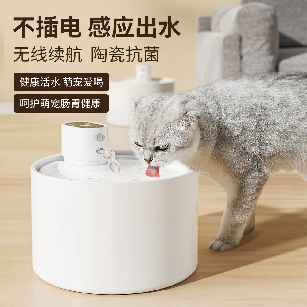 猫咪饮水机流动水陶瓷恒温自动循环猫咪小型犬宠物饮水机猫狗通用