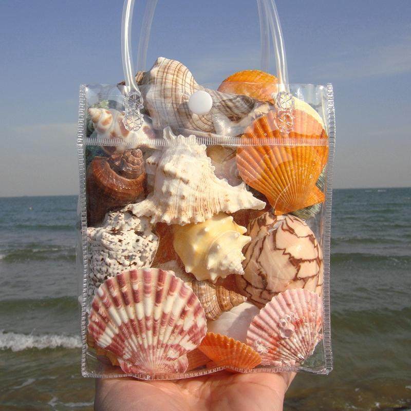 Natural Shells, Conches, Starfish, Fish Tank Landscaping Decorations, Science and Education Supplies, Kidsren's Toys, Birthday Gifts, Melting
