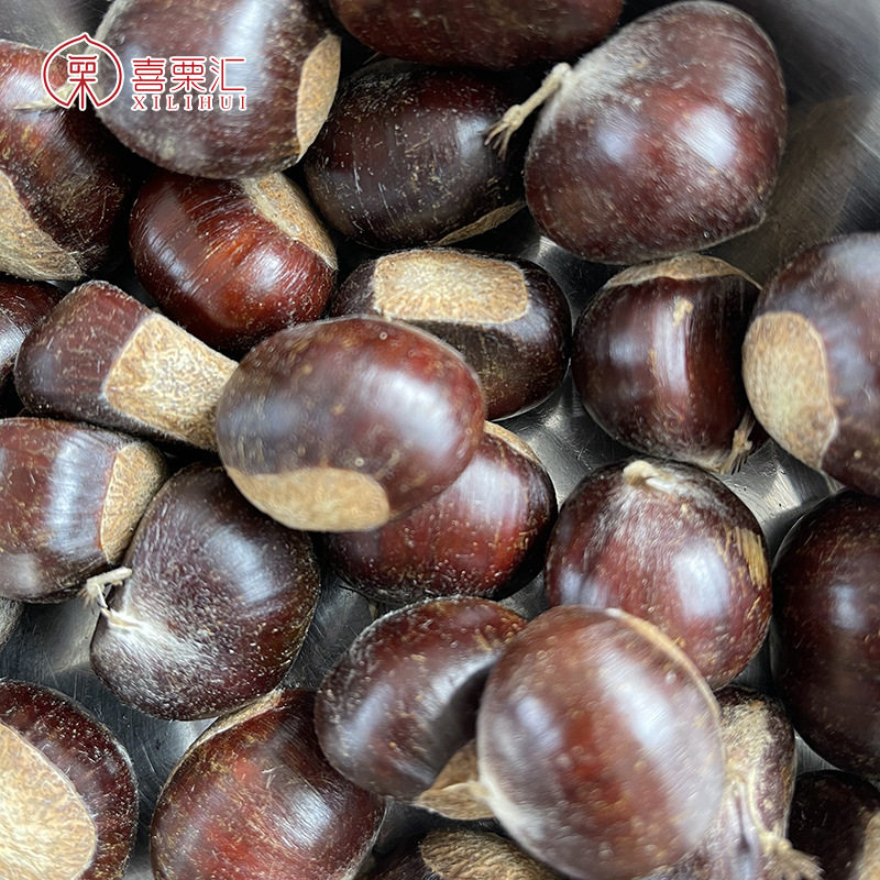 Oem Processing of Ice Chestnuts, Frozen Chestnut Granules, Roasted Sugar Nuts, Roasted Seeds and Nuts, Ready-To-Eat Ice Chestnuts, Open-Mouthed Smiling Chestnuts