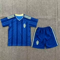 26-27 sweden away game