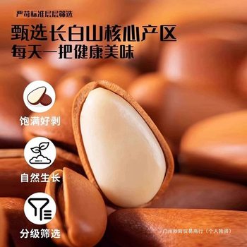 2024 New Large-Capacity Open Pine Nuts Non-Specialty Grade Extra Large Northeast Pine Nut Kernels Nut Snacks Wholesale Roasted Seeds