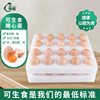 Can Be Eaten Raw, Selenium-Rich, Anti-Microbial-Free Fresh Eggs, Non-Local Free-Range Wood-Fired Eggs, 30 Probiotic Cordyceps Eggs, One Piece for Drop Shipping
