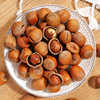 Changbai Mountain Hazelnut Northeast Specialty New Arrival Small Hazelnut Nuts Fried Snacks Wholesale Delivery