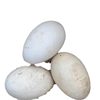 12-Pack of Lion-Headed Goose Eggs, Fresh Farm-Raised Free-Range Goose Eggs, Suitable for Pregnant Women to Eliminate Fetal Toxins, Large Size 80-100 Grams