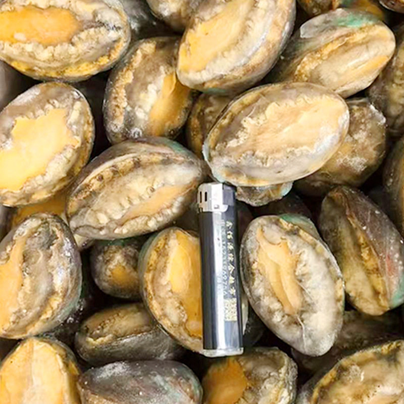 Customized Frozen Abalone Meat with Shell, Cooked Braised Abalone Dishes, Large Quantity Discount, Wholesale from Manufacturers