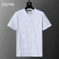 25079 white