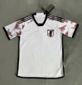 2020 japan away game