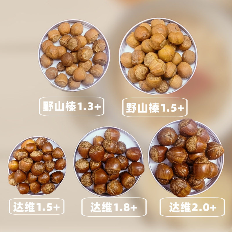 Liaoning Tieling Kaiyuan wild mountain open big hazelnut thin skin large grain nut fried goods source factory direct hair delivery