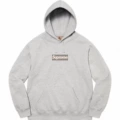 Joint model gray