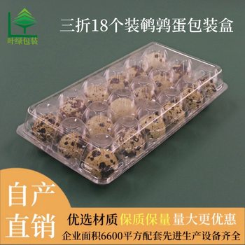PET Quail Egg Box 18 Pack Transparent Plastic Quail Egg Packaging Factory Blister Quail Egg Hole