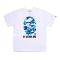D170 white blue
