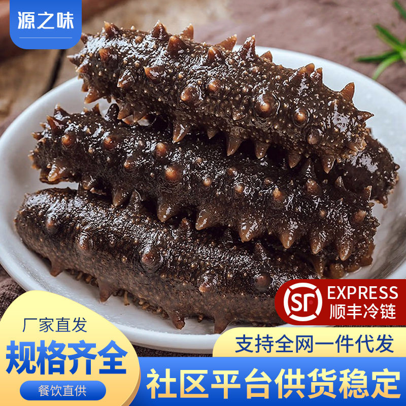 Dalian Wild Fresh Sea Cucumber Ready-To-Eat Sea Cucumber Fresh Liaoning Sea Cucumber Sea Cucumber Single Gift Box Instant Special Price