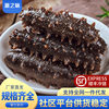 Dalian Wild Fresh Sea Cucumber Ready-To-Eat Sea Cucumber Fresh Liaoning Sea Cucumber Sea Cucumber Single Gift Box Instant Special Price
