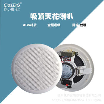 Broadcast Ceiling Speakers, Constant Voltage Ceiling-Mounted Speakers, Ceiling-Mounted Speakers, Ceiling-Mounted Amplifiers, Amplifiers