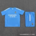 2526h horse light blue