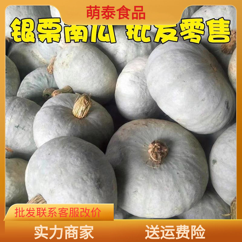 Xinjiang Silver Chestnut Pumpkin 2.5kg Chestnut Pumpkin Silver Skin Gray Skin Chestnut Flavor Old Pumpkin Non-Babe Small Pumpkin
