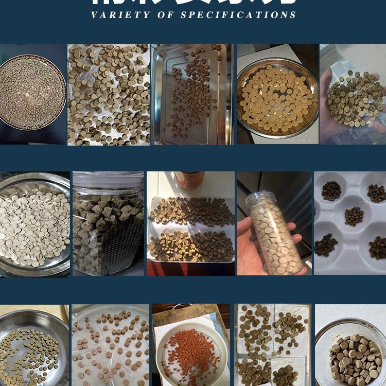 Panax Notoginseng Pill Press Powder Tablet Press Small Household Artifact Tablet Making Pill Milk Tablet Mold Tablet Powder