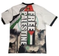2425 white green palestine second passenger special edition