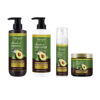 Avocado Avocado Shampoo Smooth Nourishing Oil Control Hair Care English Wash and Care Set Foreign Trade Factory Wholesale