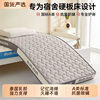 Dormitory Student Latex Memory Foam Mattress Single and Double Household Soft Cushion Sponge Mattress Rental Special Floor Sleeping Mat