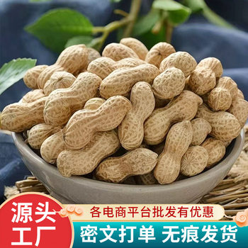 New Small Pearl Peanuts 2.5kg Spiced Milk Garlic Pecan Flavor Oven-Roasted Peanuts Festive Nut Snacks