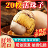 Fresh Live beads Wholesale 13 days incubation chicken embryo egg egg vacuum packaging open bag instant spiced live beads