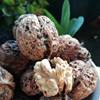 2025 New Yunnan Dried Walnuts Fresh Walnut Kernels Black Walnuts Unbleached Unwashed Original Sun-Dried