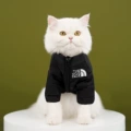 352 color matching big dog cotton-padded clothes pure black