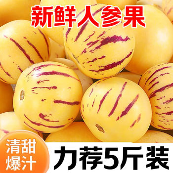 Yunnan Shilin Ginseng Fruit Is Fresh, Sweet and Juicy, Colorful Seasonal Life Fruit, Fruit for Pregnant Women, Ginseng Fruit