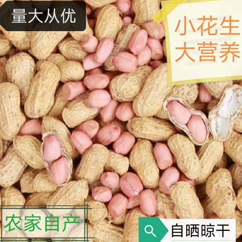 Seasonal New Arrivals, Fresh Shelled Peanuts, Dried Raw White Sand, Farm-Grown and Sun-Dried, Shipped in One Piece