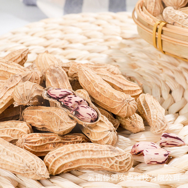 Colorful peanut newly dried colorful wild peanut 278g/Can original flavor raw peanut with Shell Yunnan specialty nut