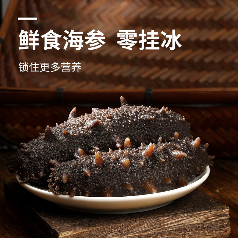Qifengtang Fresh Sea Cucumber, High-Quality Dalian Liao Sea Cucumber, Ready-To-Eat Without Freezing, 450g, 6 Pieces, 8 Pieces, 10 Pieces, Fresh and Tender
