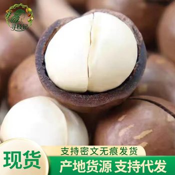 5kg Box of Yunnan Original Flavor Macadamia Nuts, Creamy, Healthy, Extra-Large Dried Fruit Nuts, Whole Box Wholesale Kernels